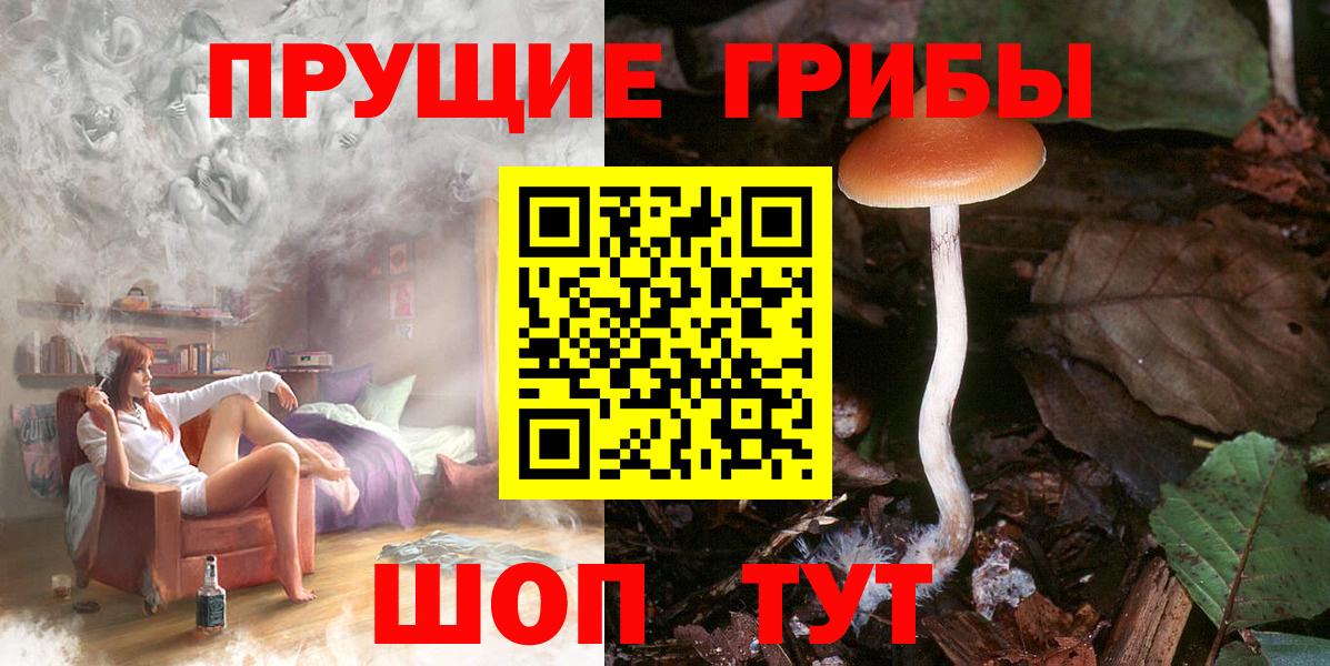 Галлюциногенные грибы мухоморы  Псилоцибиновые грибы Psilocybine cubensis  Вход с VPN  Зерноград 