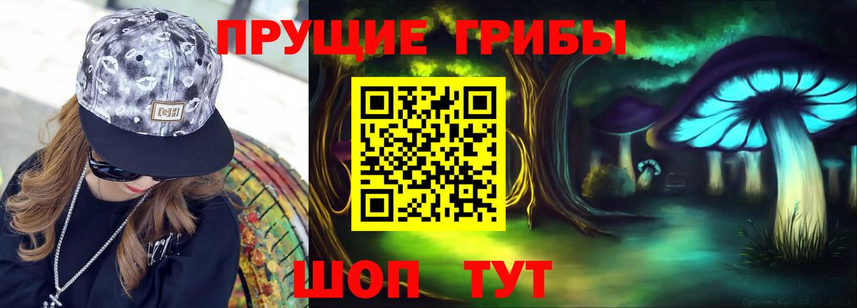 Псилоцибиновые грибы Psilocybine cubensis Зерноград